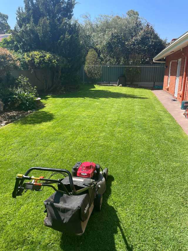 Professional lawn mowing by Just Sow in Adelaide