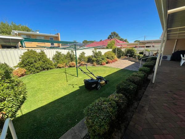 Backyard lawn mowing in Adelaide