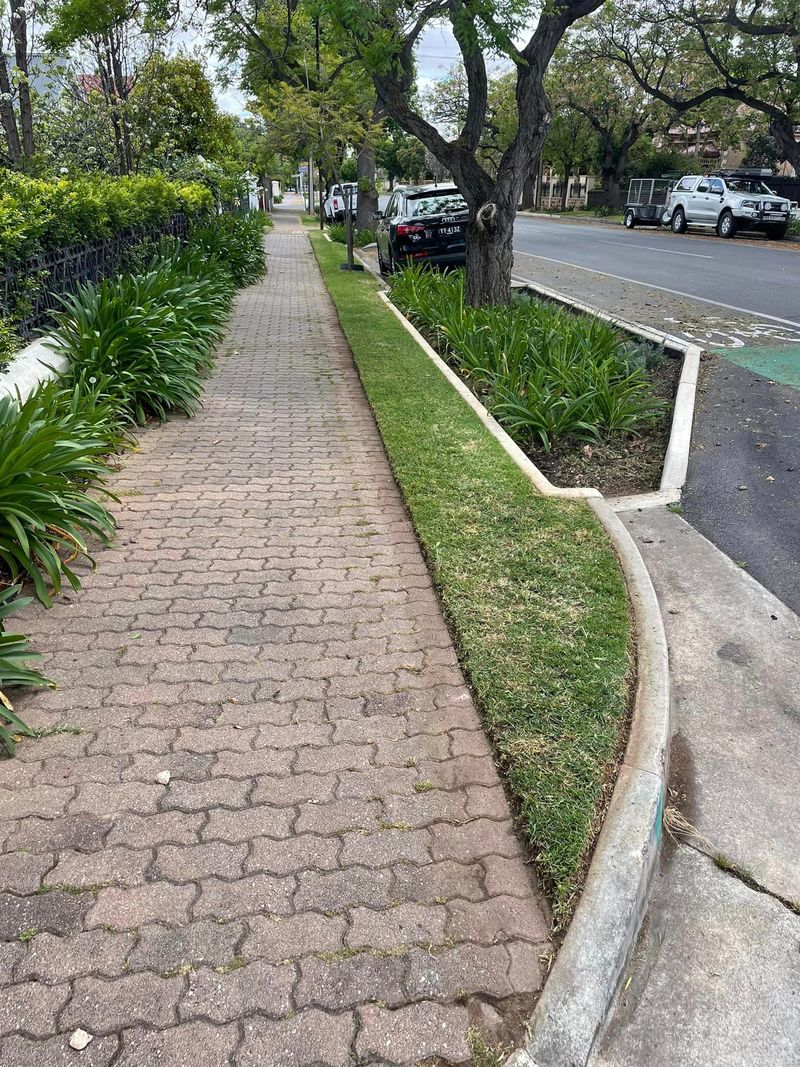 Grass cutting & lawn mowing with footpath edging