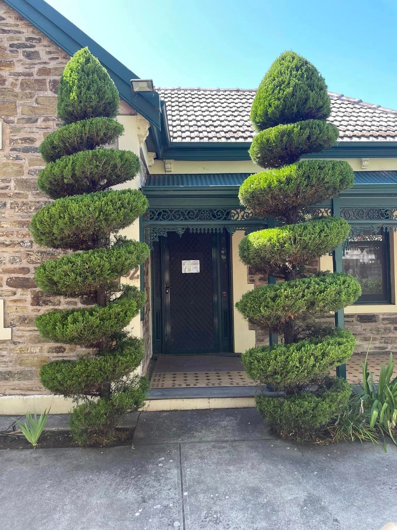 Hedge trimming in Adelaide suburbs