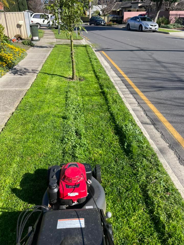 Lawn mowing in Magill, Adelaide