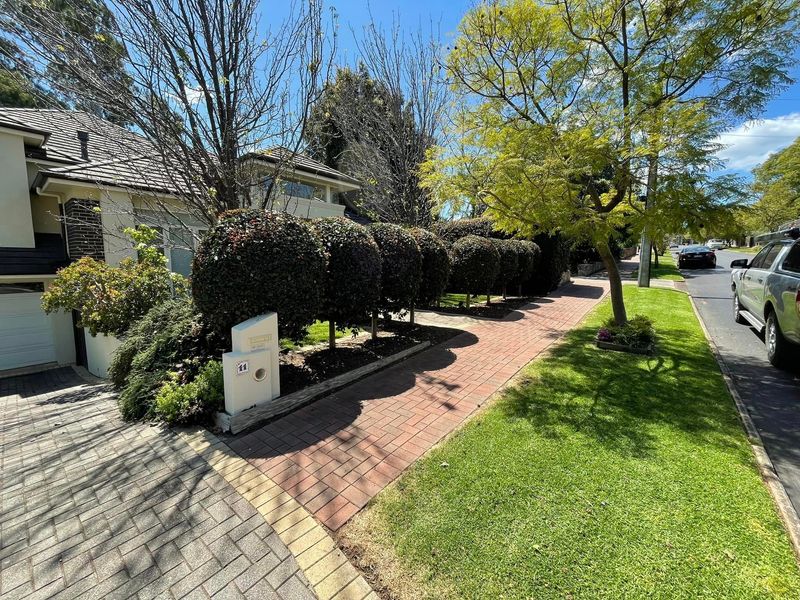 Weed spraying in garden in MaGill, Adelaide